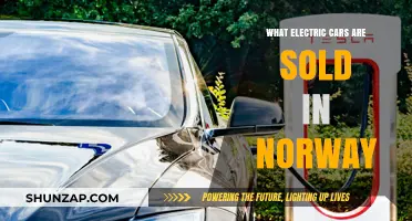 Norway's Electric Car Market: Top Models and Brands Available