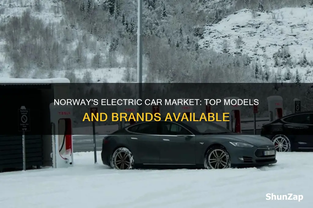 what electric cars are sold in norway