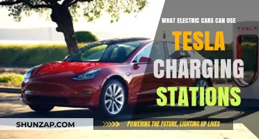 Which Electric Vehicles Are Compatible with Tesla Charging Stations?
