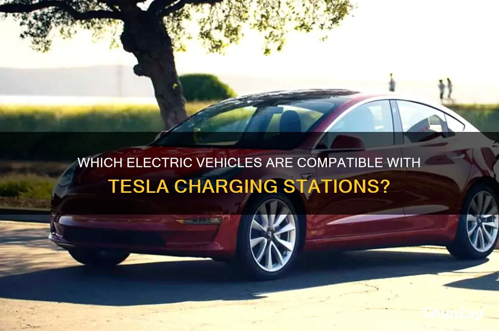 what electric cars can use tesla charging stations