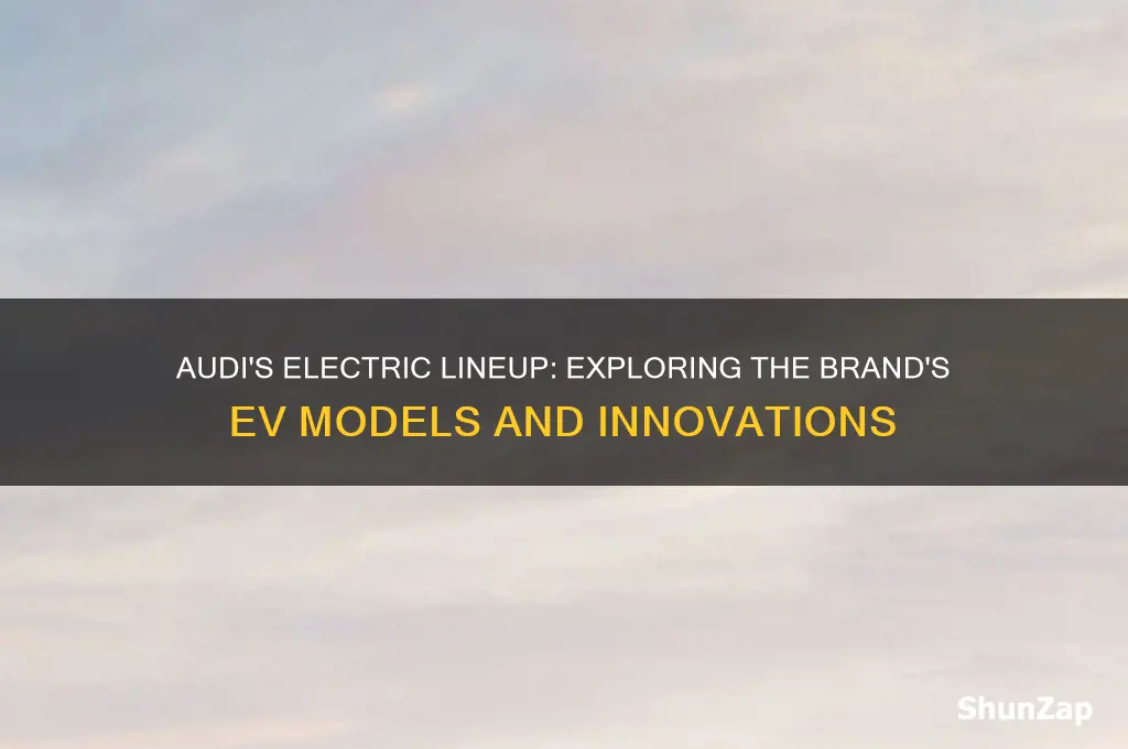 what electric cars do audi make