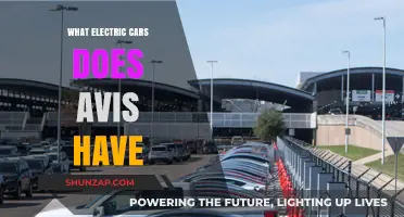 Avis Electric Car Fleet: Explore Their Eco-Friendly Vehicle Options