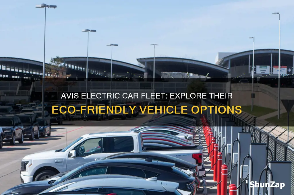 what electric cars does avis have