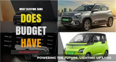 Affordable Electric Vehicles: Budget-Friendly Options for Eco-Conscious Drivers