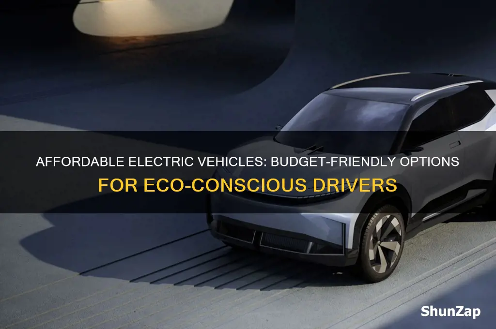 what electric cars does budget have