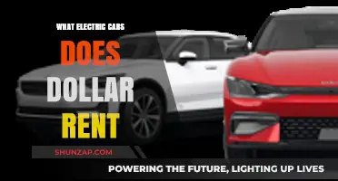 Dollar Rent's Electric Car Options: Eco-Friendly Vehicles for Your Next Trip
