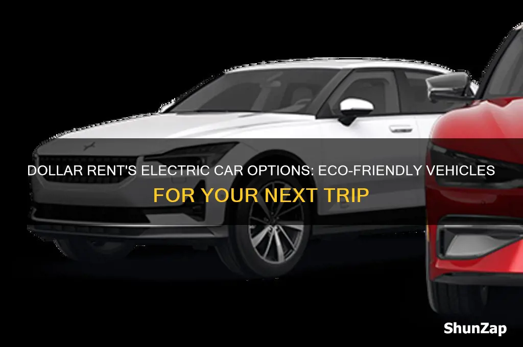 what electric cars does dollar rent