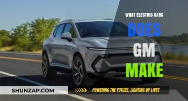 GM's Electric Lineup: Discover the Brand's Eco-Friendly Vehicle Models