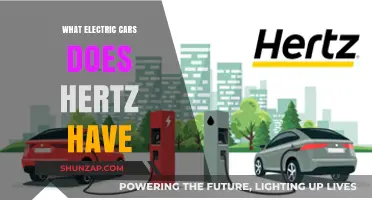Hertz's Electric Fleet: Exploring the Eco-Friendly Car Rental Options