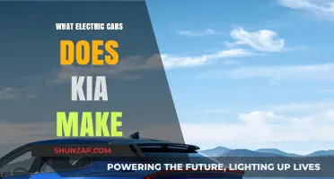 Kia's Electric Lineup: Exploring the Brand's Eco-Friendly Vehicle Options