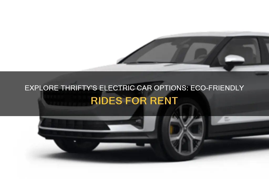 what electric cars does thrifty have