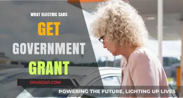 Unlocking Government Grants: Electric Cars That Qualify for Financial Aid