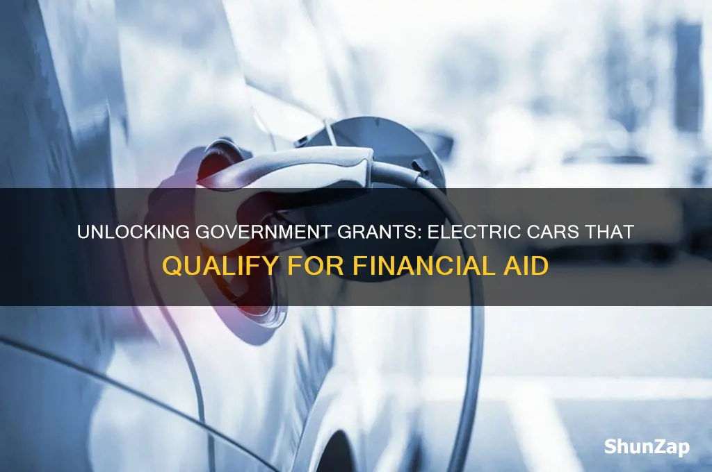 what electric cars get government grant