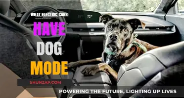 Electric Cars with Dog Mode: Keep Your Pup Safe and Comfy
