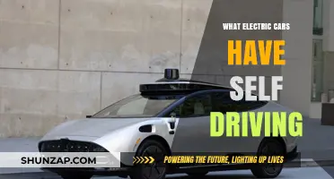 Exploring Electric Cars with Advanced Self-Driving Capabilities Today