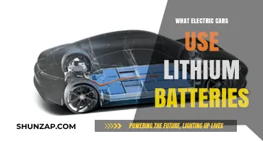 Electric Cars Powered by Lithium Batteries: Brands and Models Explained