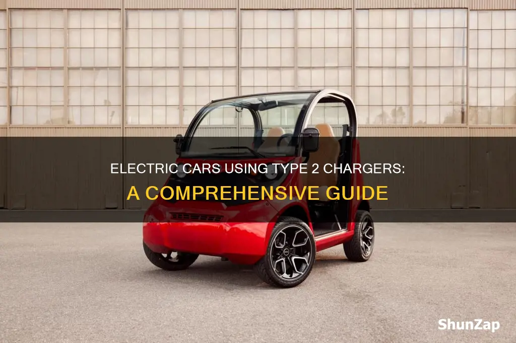 what electric cars use type 2