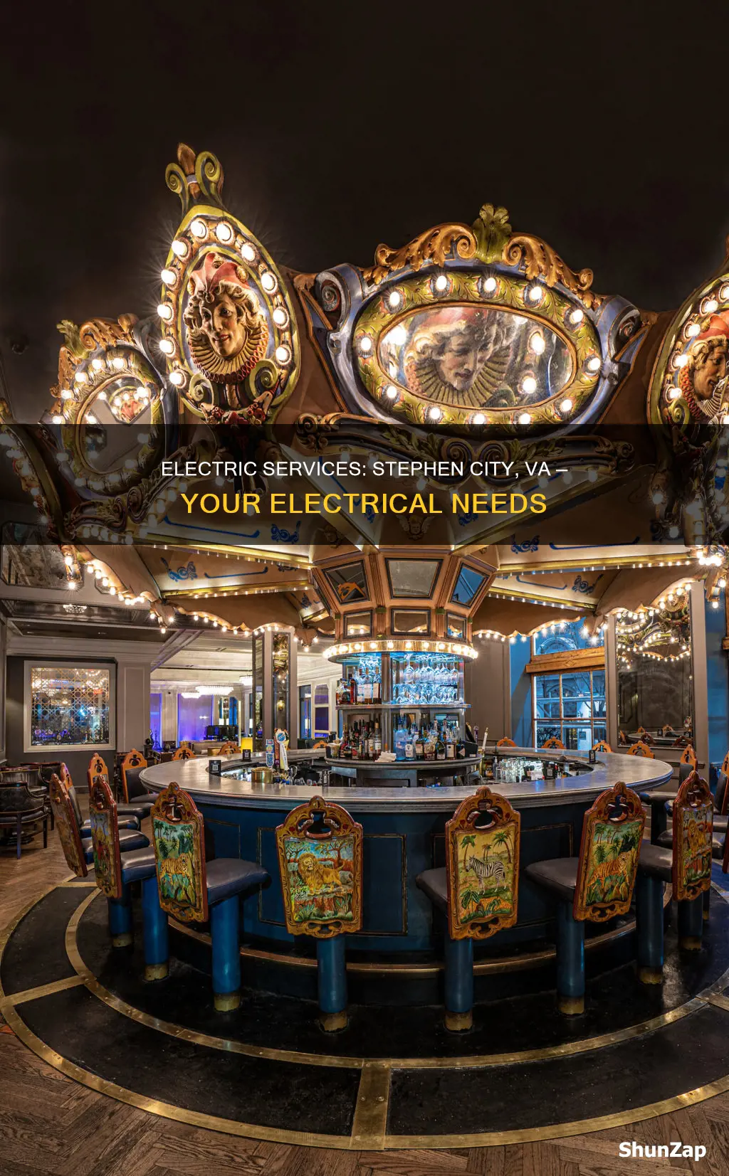 what electric co services stephen city va