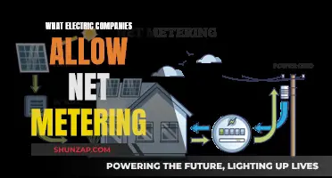 Unlocking Solar Savings: Net Metering's Electric Company Allies