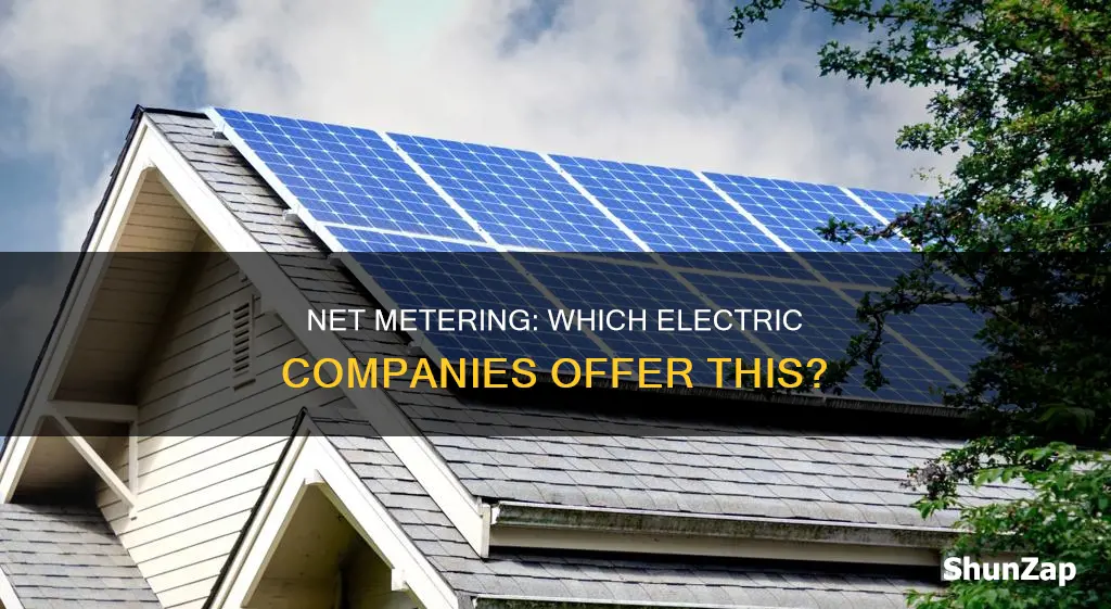 what electric companies allow net metering