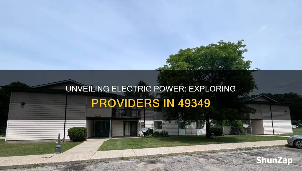 what electric companies are available 49349