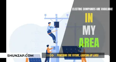 Uncover Your Local Electric Company Options: A Comprehensive Guide