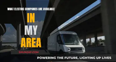 Electric Companies: Exploring Local Options and Availability