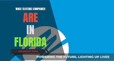 Powering Florida: Exploring Electric Companies and Their Impact