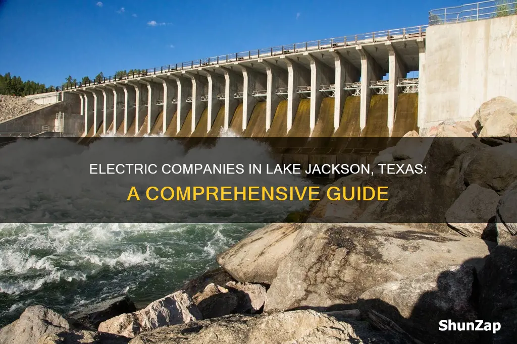 what electric companies are in lake jackson texas