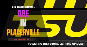 Placerville's Top Electric Companies: Who Powers the City?