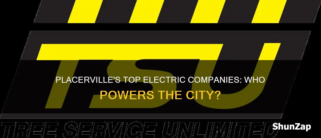 what electric companies are in placerville