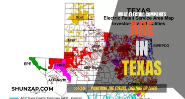 Texas' Electric Power Landscape: A Comprehensive Overview