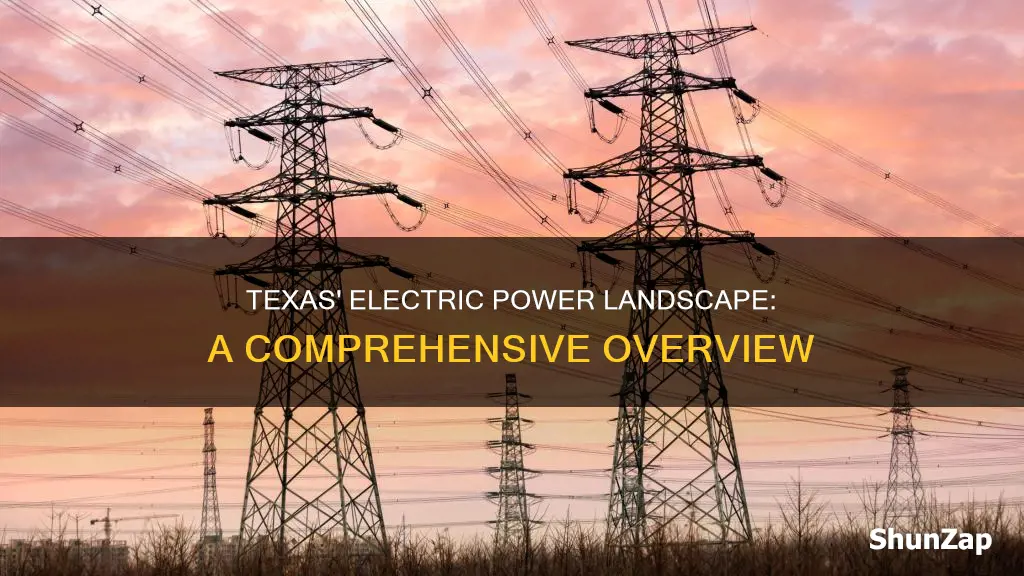 what electric companies are in texas