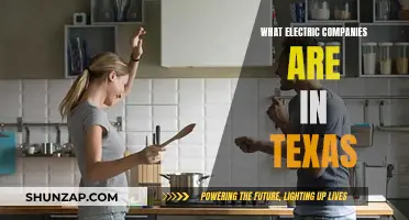 Electric Companies in Texas: Who Powers the Lone Star State?