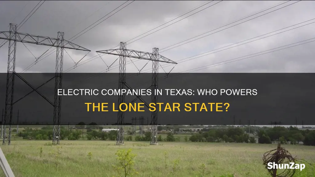 what electric companies are in texas