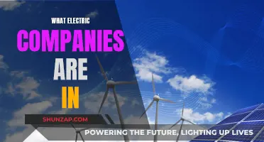 Unveiling the Electric Powerhouses: A Comprehensive Guide to Global Electric Companies