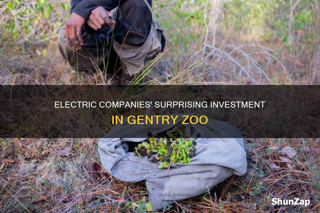 what electric companies bought some of gentry zoo