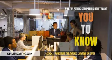 Electric Companies' Secrets: What They Don't Want You to Know