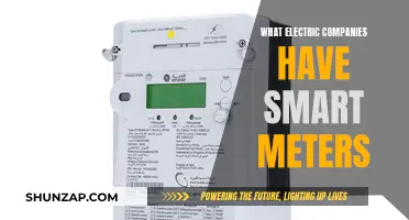 Smart Meter Revolution: Which Electric Companies Are Leading the Way?