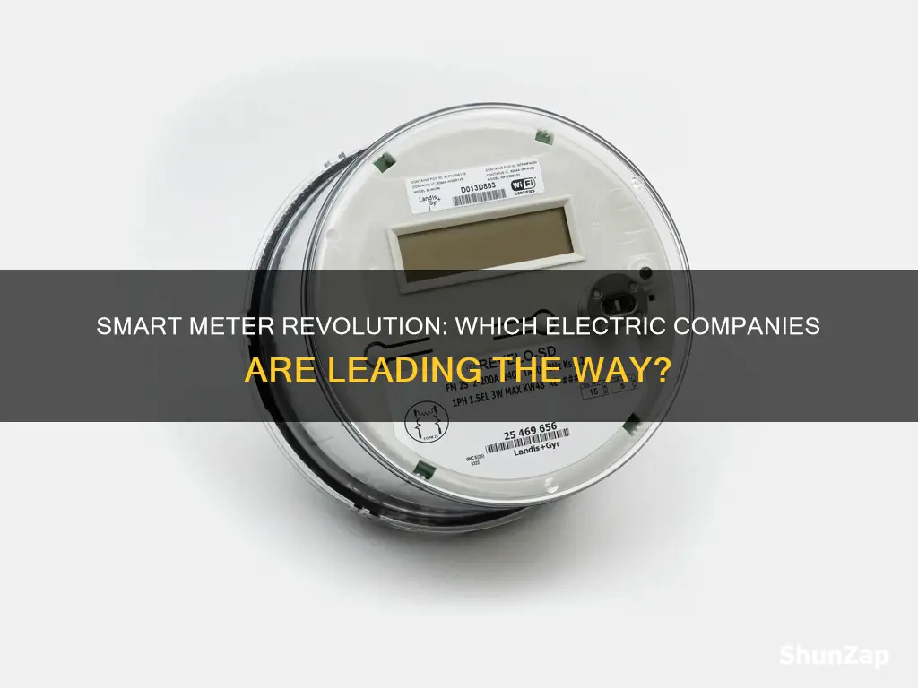 what electric companies have smart meters