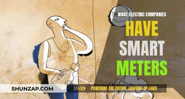 Smart Meter Revolution: Electric Companies Embrace the Future