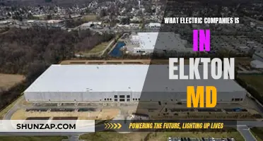 Elkton's Electric Power: Unveiling the Companies Behind the Switches