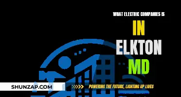 Electric Companies in Elkton, MD: Who Powers the Town?