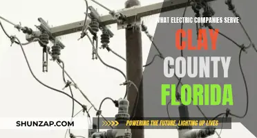Electric Companies in Clay County, Florida: Who's Serving Whom?