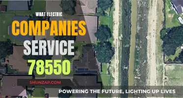 Electric Companies Servicing 78550: Who's Available?