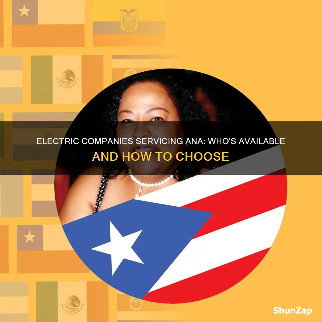 what electric companies service ana ddress