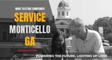 Monticello GA's Electric Power: Who's Lighting Up the Town?