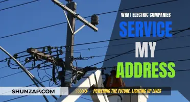 Find Out: Which Electric Company Serves Your Address?