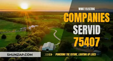 Electric Companies in 75407: Who's Powering Your Home?
