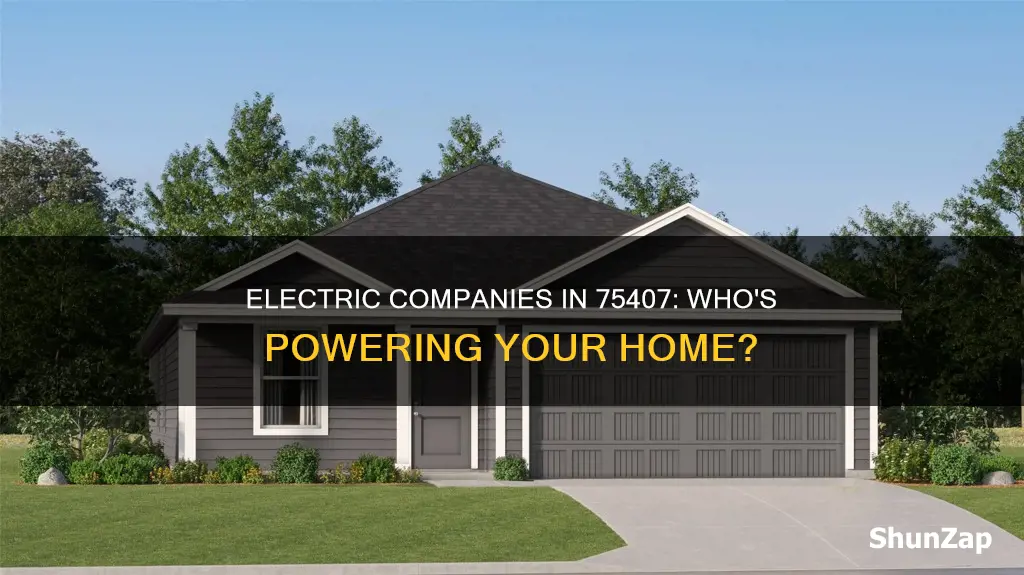 what electric companies servid 75407
